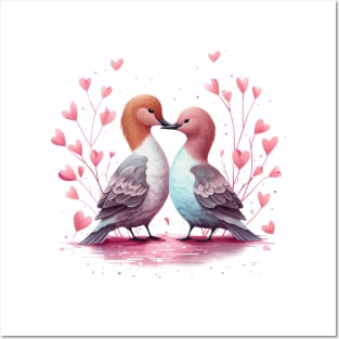 Valentine Kissing Northern Pintail Bird Couple Posters and Art